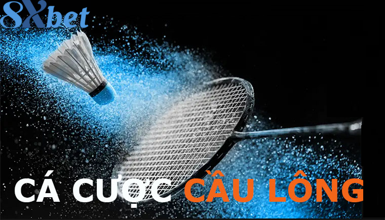 Cược cầu lông dễ vào kèo nhưng diễn biến khó lường